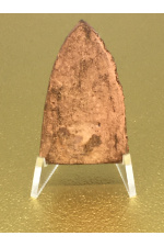 หลวงปู่ทวดปี 2553 (2010) รุ่นแซยิด 82 ปี ที่ระลึกฉลองอายุ 82 พ่อท่านบุญให้ ปทุโม หรือ พระครูพิศาลวิหารวัตร วัดท่าม่วง นครศรีธรรมราช  15 สิงหาคม 2553 ปลุกเสกโดย พ่อท่านพล วัดนาประดู่ ปัตตานี ศิษย์หลวงปู่ทวดรุ่น 3 No. 32