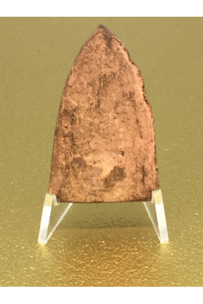 หลวงปู่ทวดปี 2553 (2010) รุ่นแซยิด 82 ปี ที่ระลึกฉลองอายุ 82 พ่อท่านบุญให้ ปทุโม หรือ พระครูพิศาลวิหารวัตร วัดท่าม่วง นครศรีธรรมราช  15 สิงหาคม 2553 ปลุกเสกโดย พ่อท่านพล วัดนาประดู่ ปัตตานี ศิษย์หลวงปู่ทวดรุ่น 3 No. 32